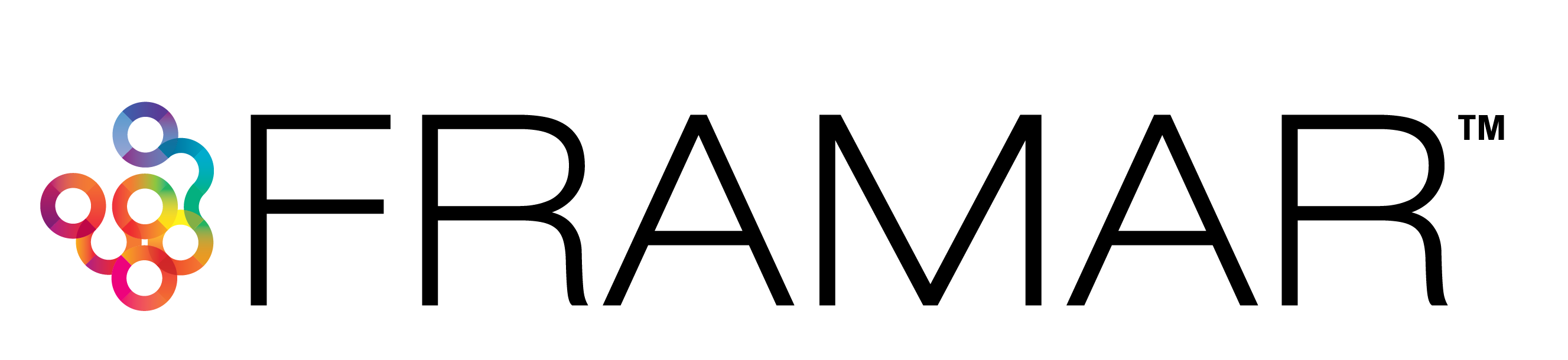 The image shows the logo for "evo," with "evo" in lowercase black letters followed by a trademark symbol. - HC Beauty in Charlotte, Nc